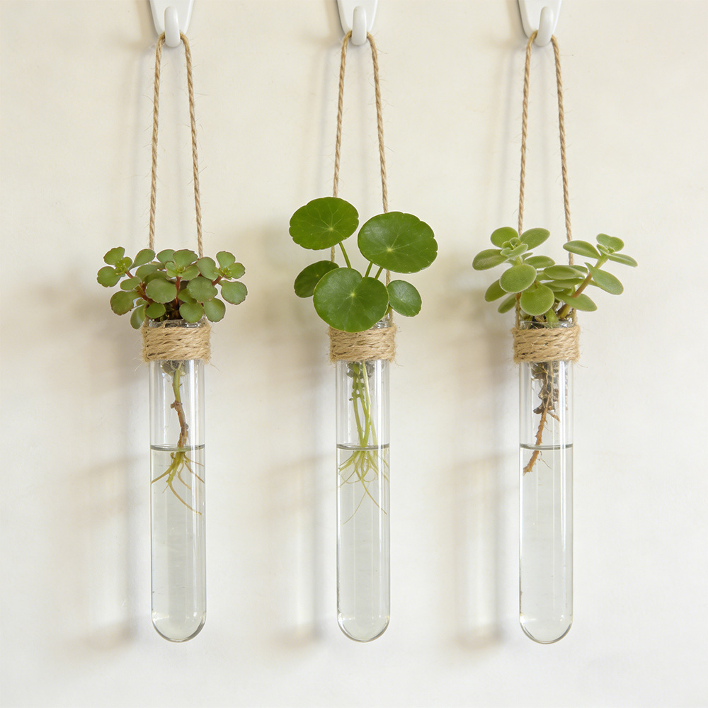 Propagation Station Vase - Jarrón Hidropónico de Pared, Jarrón de