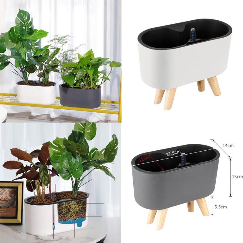 Self Watering Insert - Planta de interior con indicador, contenedores