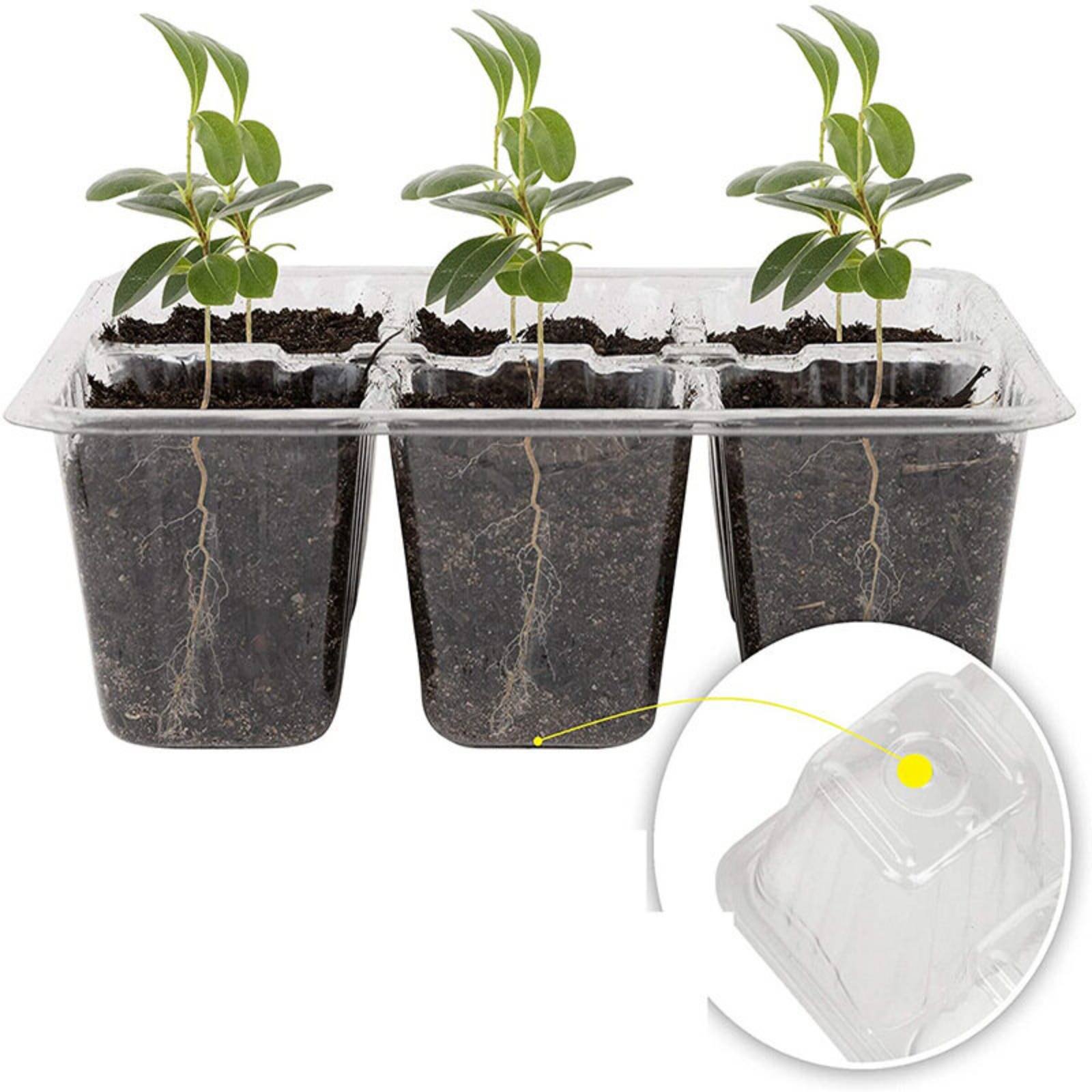 Humidity Dome Kit - Bandeja de Germinación de 12 Compartimentos