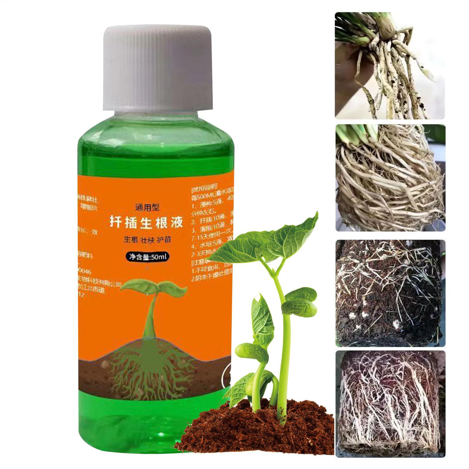 Root Stimulator Liquid - Estimulador de Raíces de Alta Eficiencia