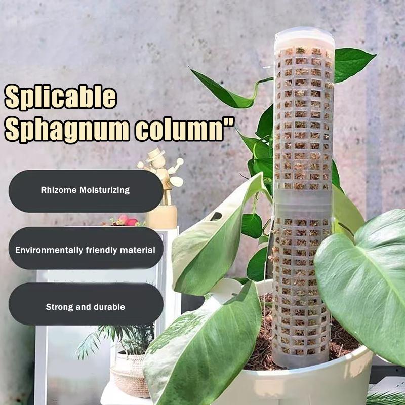 Sphagnum Moss Dry - 6 Soportes de Plástico para Plantas