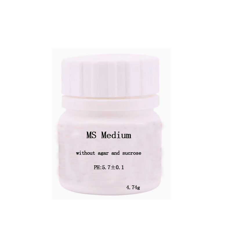 Medio MS sin Agar o Sacarosa p - Agar Tissue Culture reseña y precio