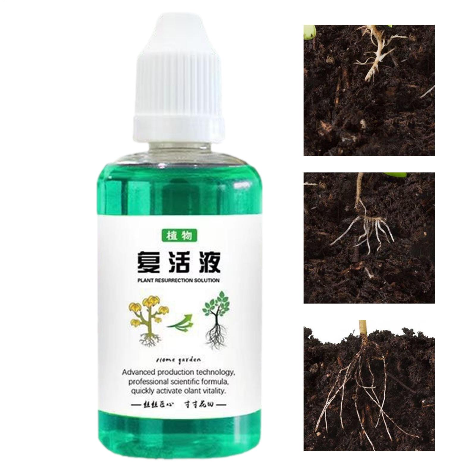 Estimulador de Raíces de 50 ml - Root Stimulator Liquid reseña y precio