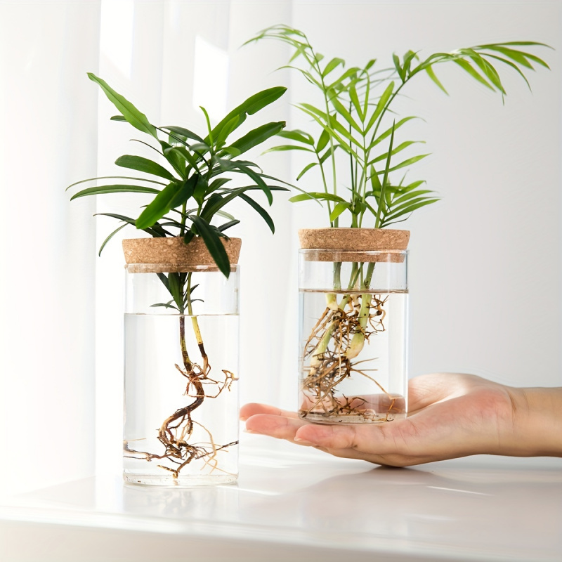Maceta de vidrio para plantas  - Propagation Station Vase reseña y precio