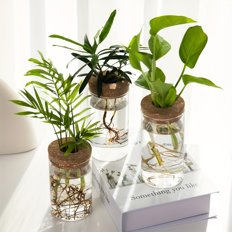 Maceta de vidrio para plantas  - Propagation Station Vase reseña y precio