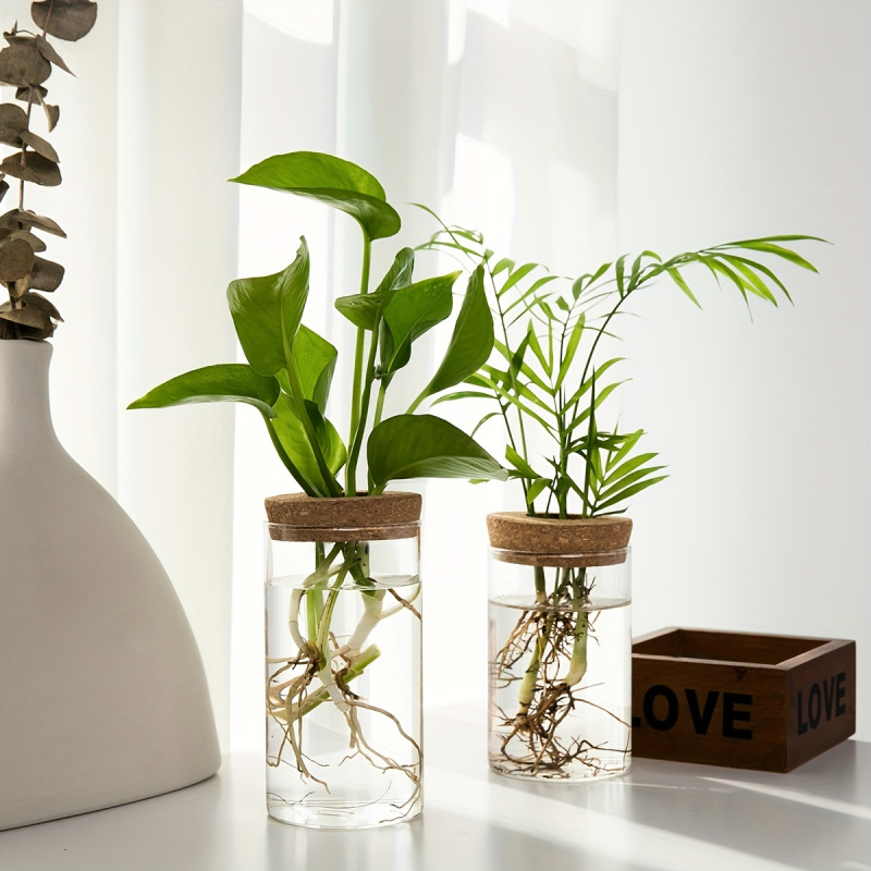 Maceta de vidrio para plantas  - Propagation Station Vase reseña y precio