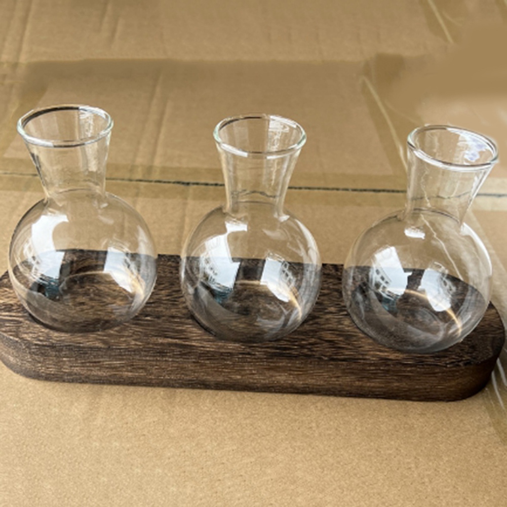 75STO-jarrones de plantas hidr - Propagation Station Vase reseña y precio