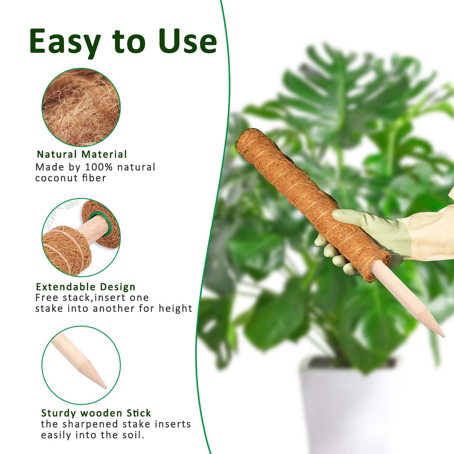 Poste de musgo Monstera de 38/ - Sphagnum Moss Dry reseña y precio
