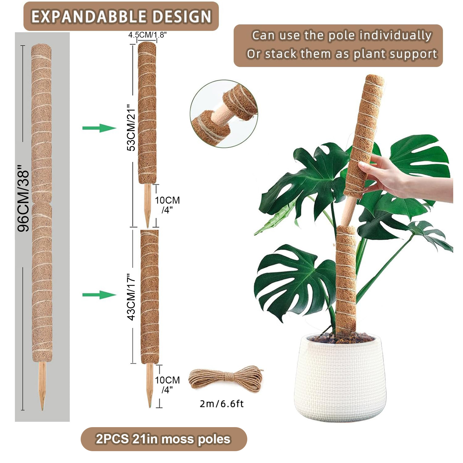 Poste de musgo Monstera de 38/ - Sphagnum Moss Dry reseña y precio
