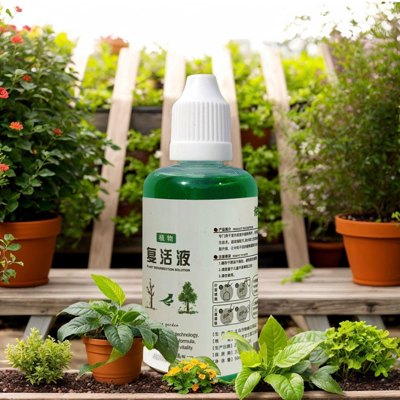 Estimulador de Raíces para Pla - Root Stimulator Liquid reseña y precio