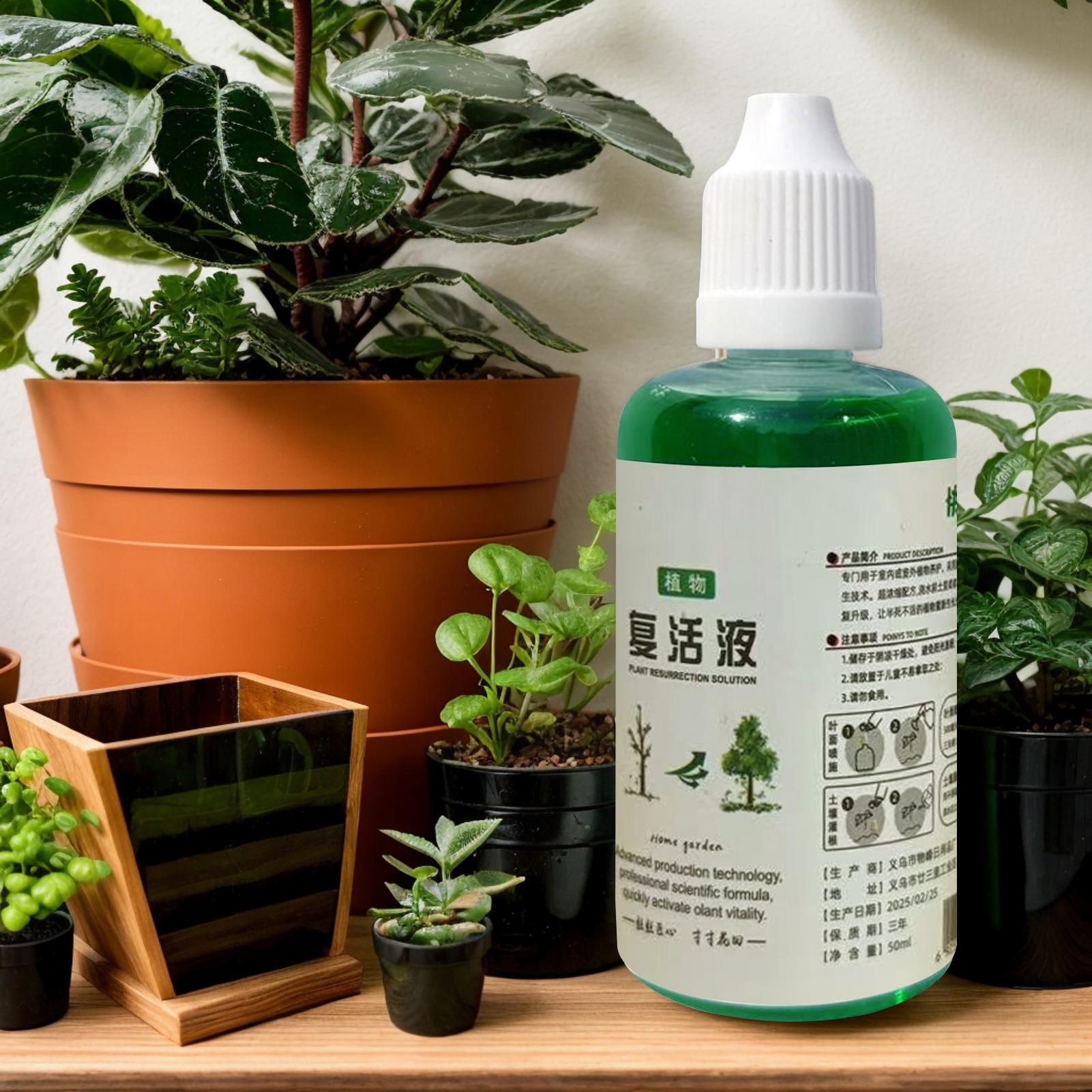 Estimulador de Raíces para Pla - Root Stimulator Liquid reseña y precio