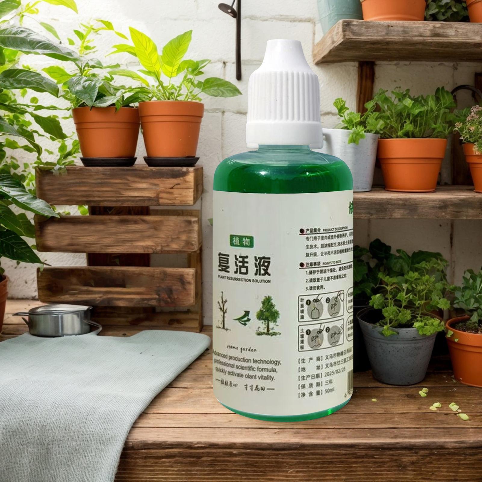 Estimulador de Raíces para Pla - Root Stimulator Liquid reseña y precio