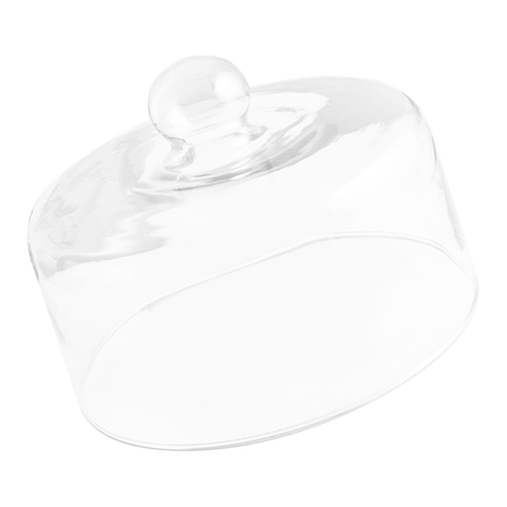 Cúpula de Cristal Transparente - Plastic Dome Clear reseña y precio