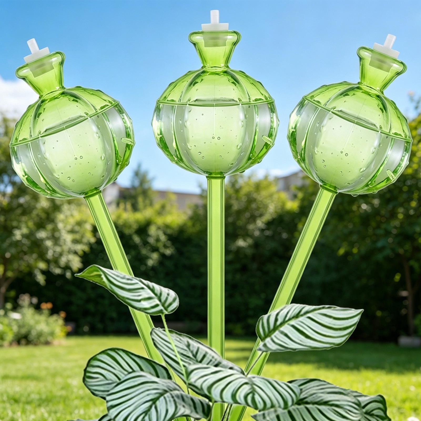 Globos de autorriego de libera - Self Watering Insert reseña y precio