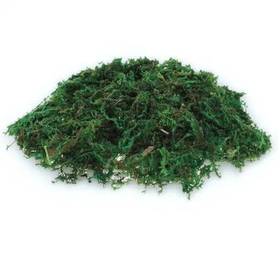 1 Paquete de Musgo Artificial  - Sphagnum Moss Dry reseña y precio