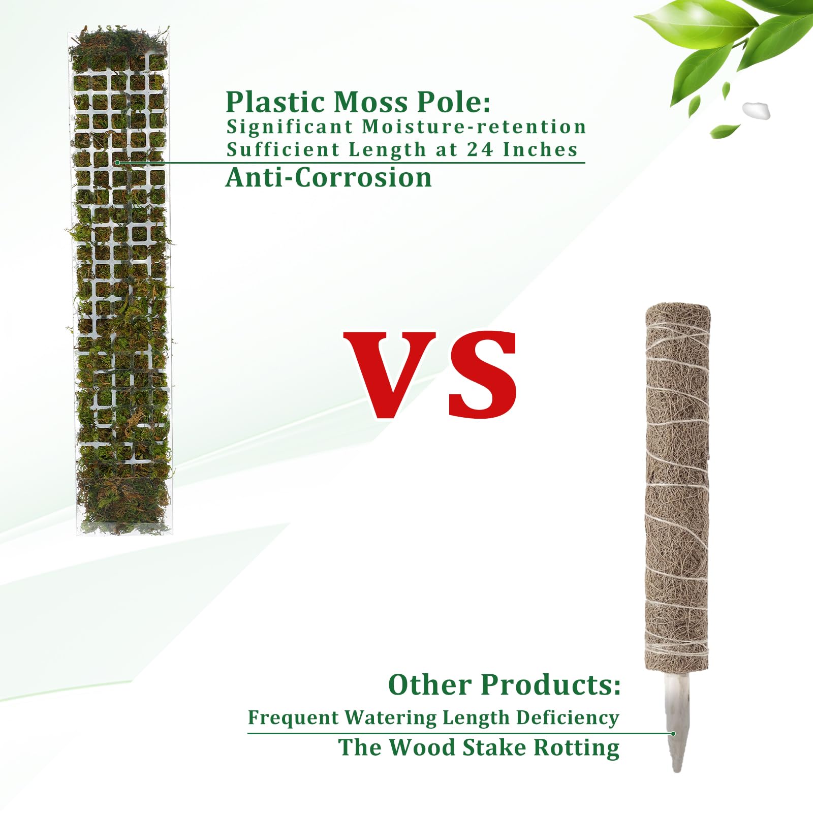 Poste de musgo, soporte de plá - Sphagnum Moss Dry reseña y precio