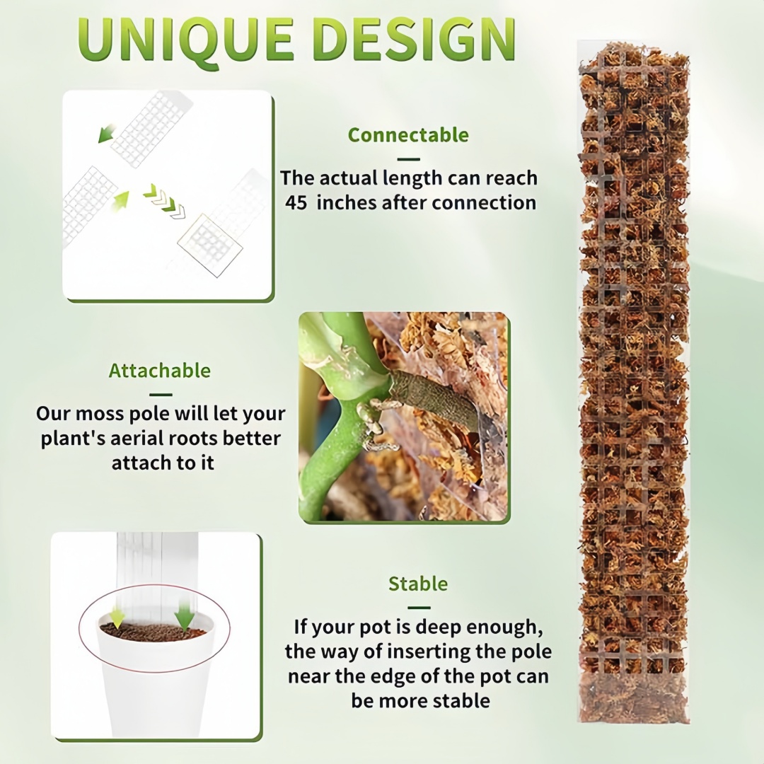 Poste de musgo, soporte de plá - Sphagnum Moss Dry reseña y precio