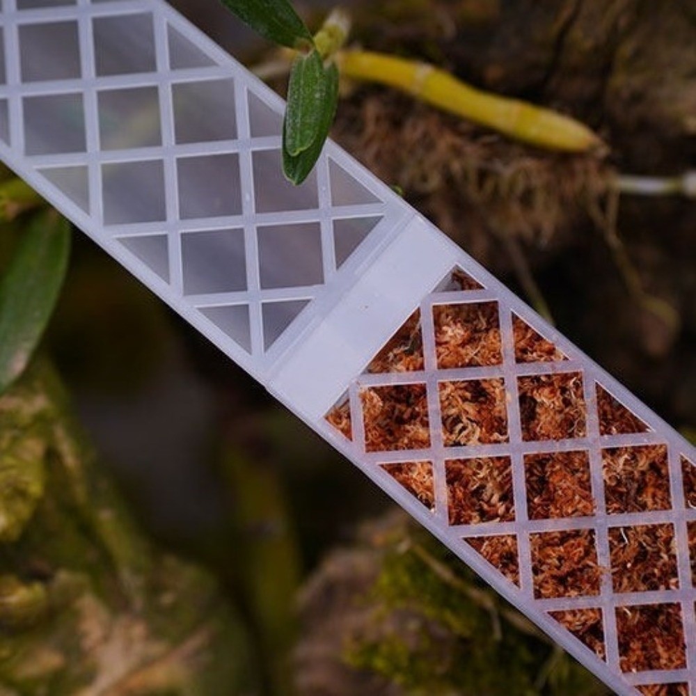 Soporte de Plástico en Forma d - Sphagnum Moss Dry reseña y precio