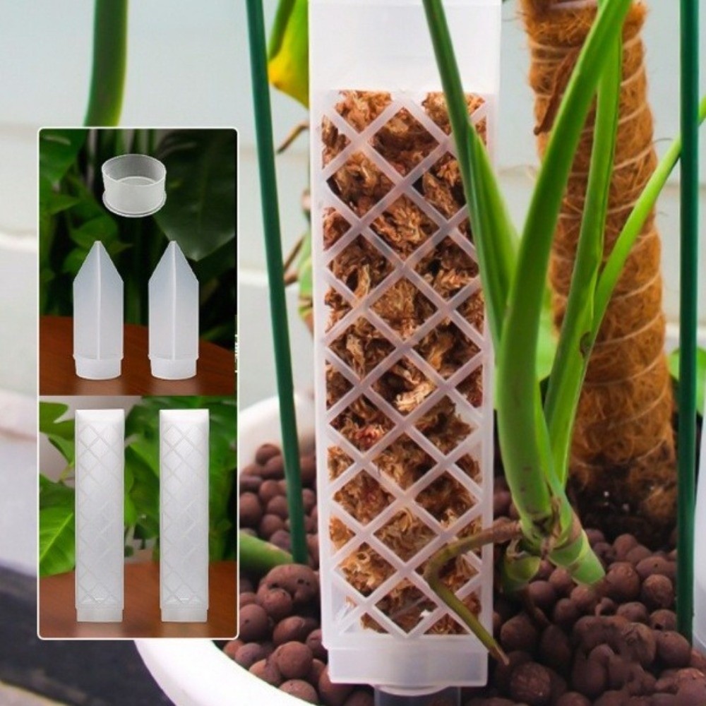 Soporte de Plástico en Forma d - Sphagnum Moss Dry reseña y precio