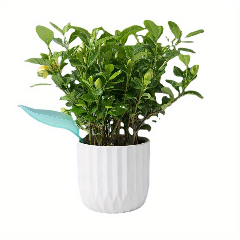 Embudo de riego creativo para  - Self Watering Insert reseña y precio
