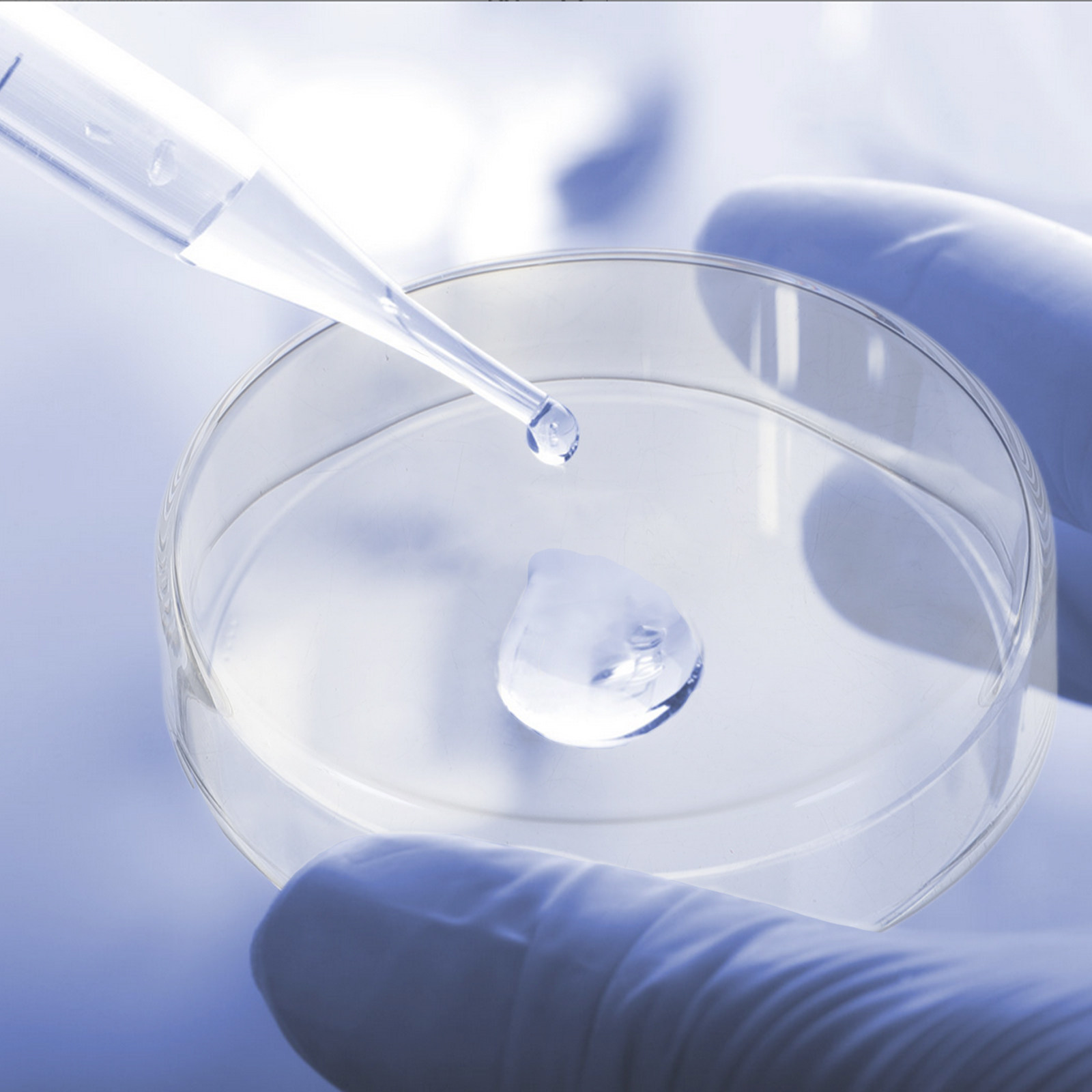 1 Juego de Placas de Petri de  - Agar Tissue Culture reseña y precio