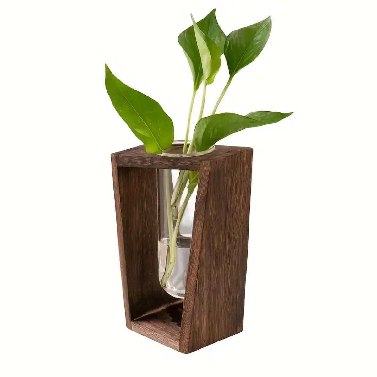 Estación de Propagación de Pla - Propagation Station Vase reseña y precio