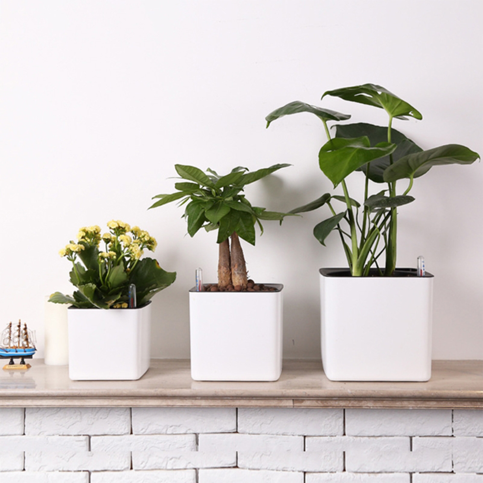 Maceta con Sistema de Autorrie - Self Watering Insert reseña y precio