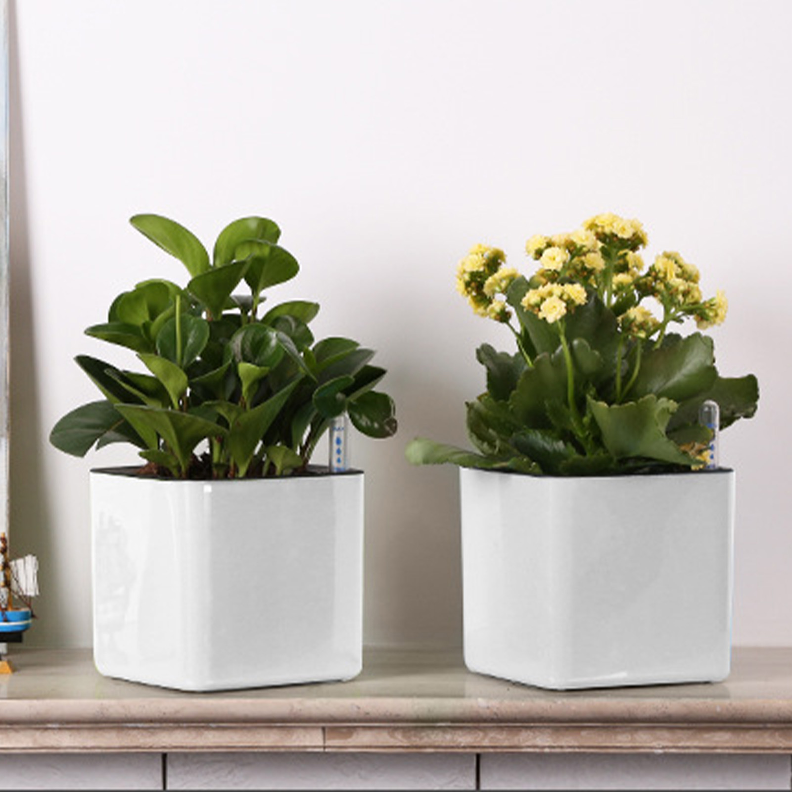 Maceta con Sistema de Autorrie - Self Watering Insert reseña y precio