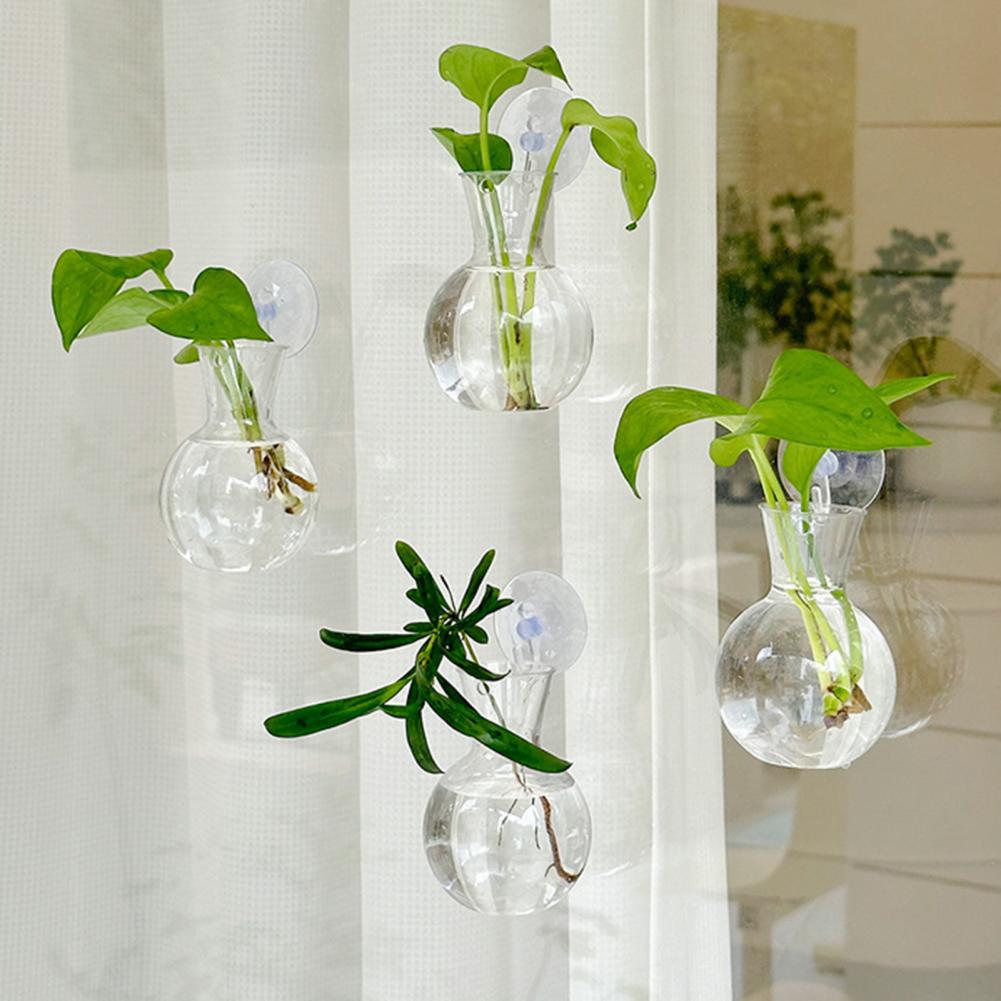 Maceta para ventana, soporte p - Propagation Station Vase reseña y precio
