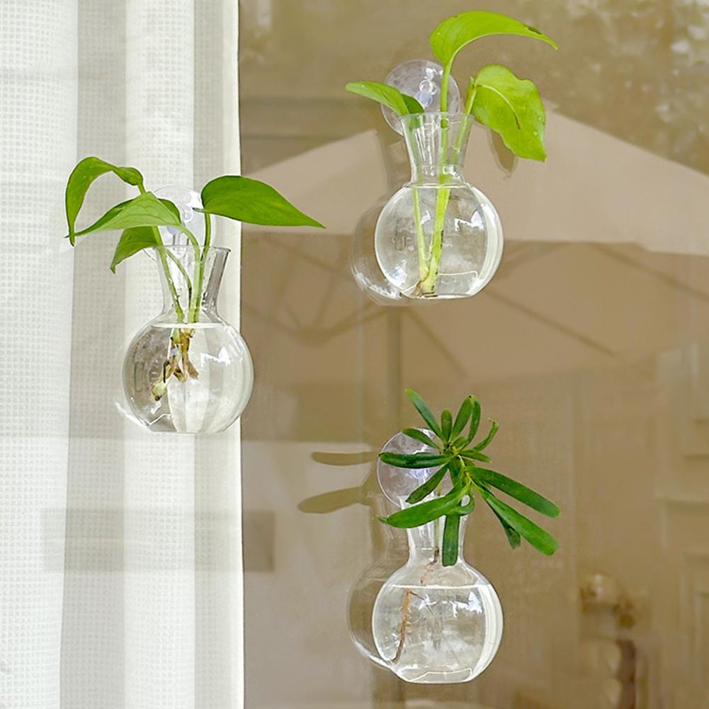 Maceta para ventana, soporte p - Propagation Station Vase reseña y precio