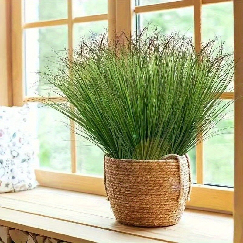 12/28 piezas de plantas verdes - Sphagnum Moss Dry reseña y precio