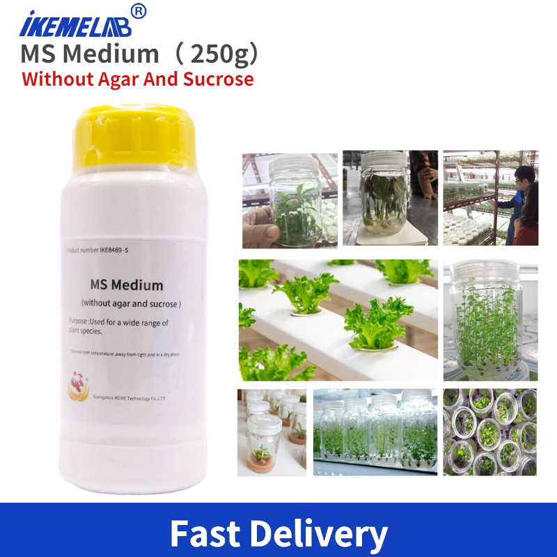 IKEME Lab MS Medio 250g Sin Ág - Agar Tissue Culture reseña y precio