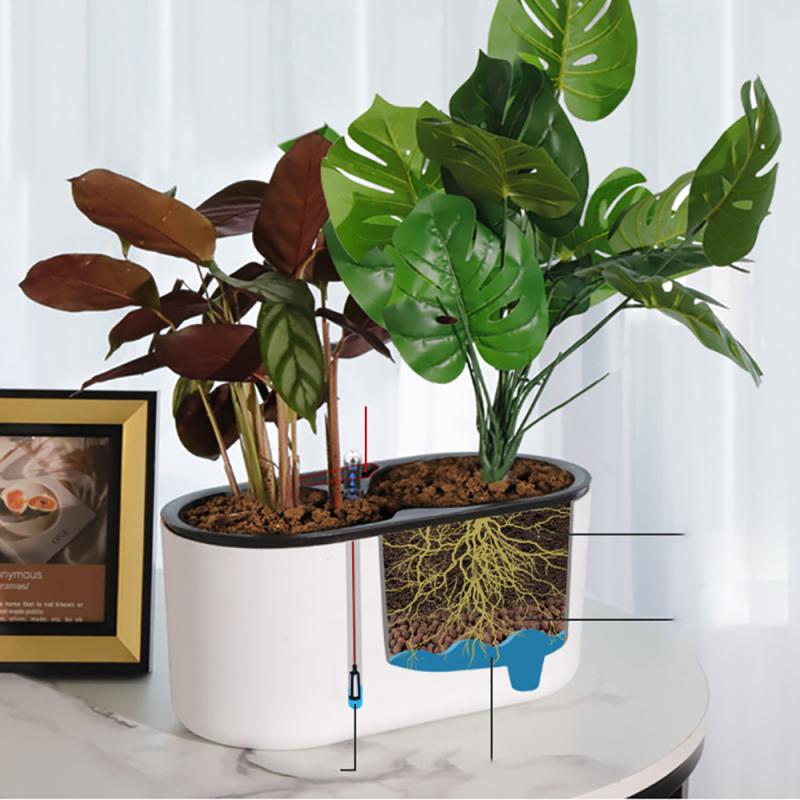 Planta de interior con indicad - Self Watering Insert reseña y precio