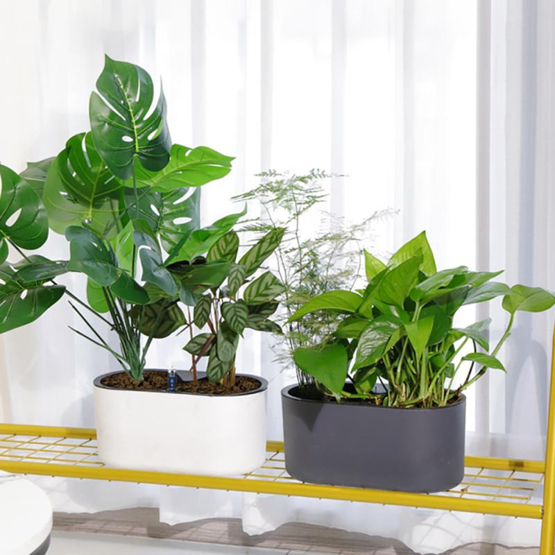 Planta de interior con indicad - Self Watering Insert reseña y precio