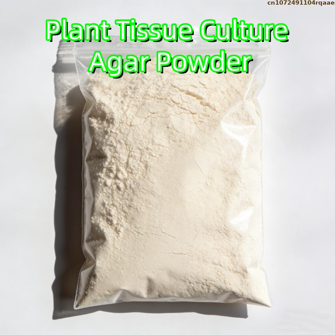Agar en Polvo Premium para Cul - Agar Tissue Culture reseña y precio