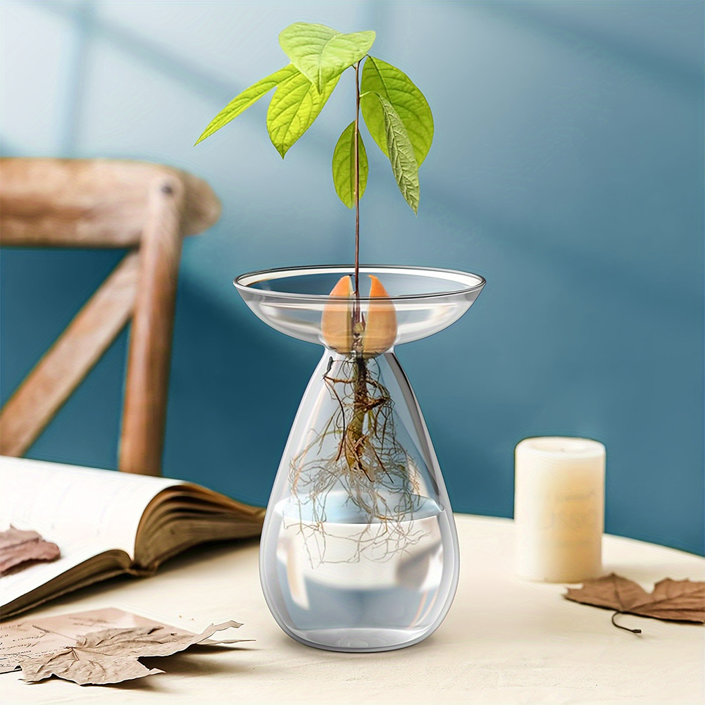 Jarrón Hidropónico para Semill - Propagation Station Vase reseña y precio