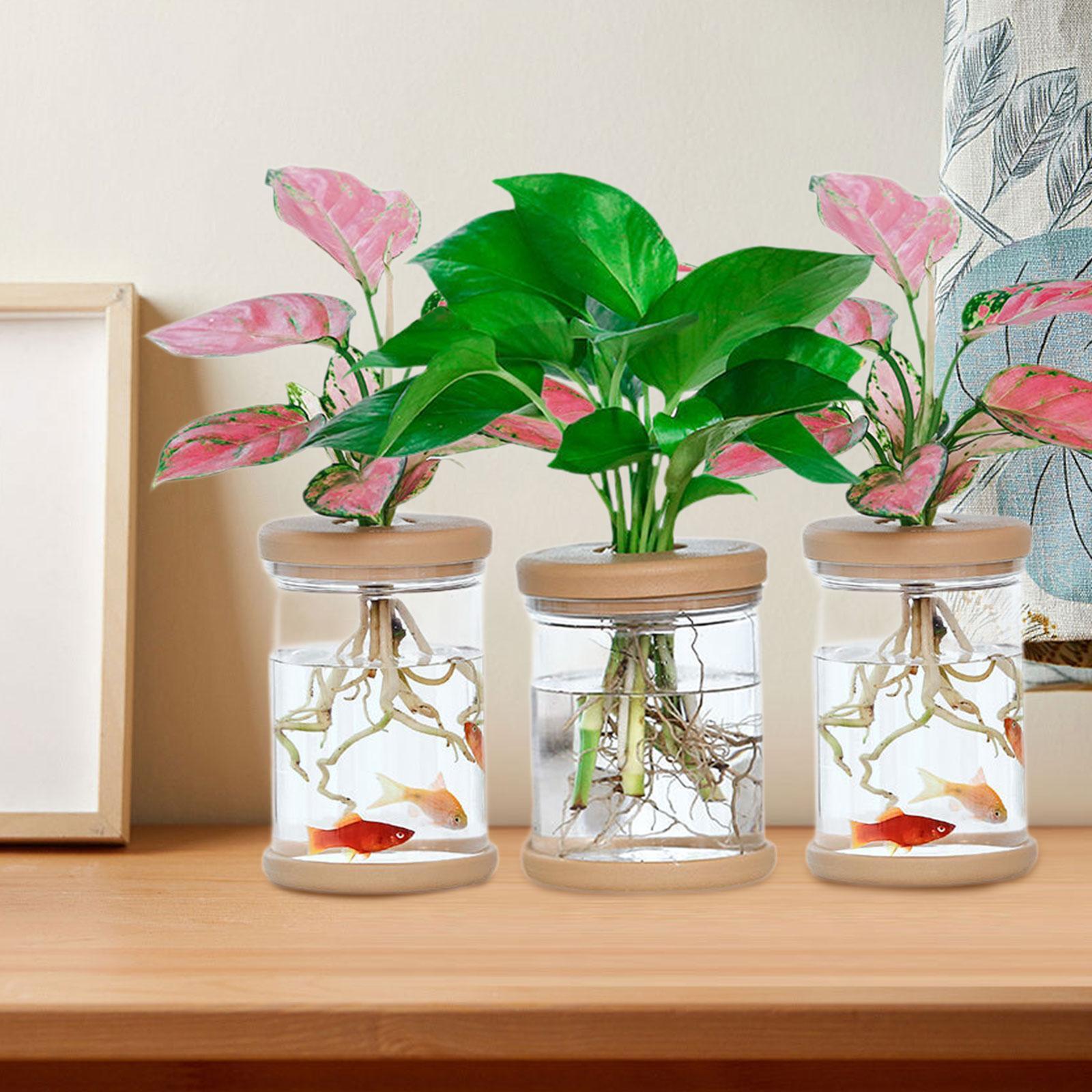 Floreros hidropónicos de 3 uds - Propagation Station Vase reseña y precio