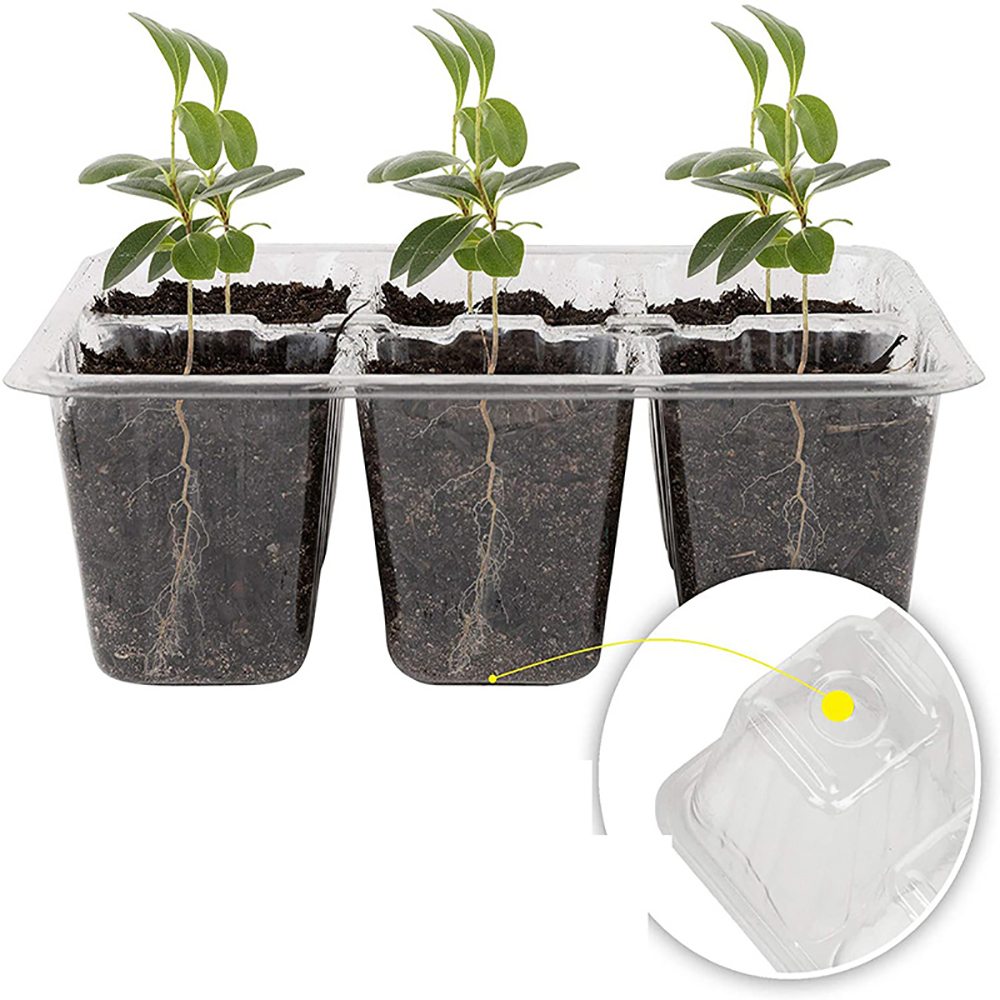 Bandejas de inicio de semillas - Humidity Dome Kit reseña y precio