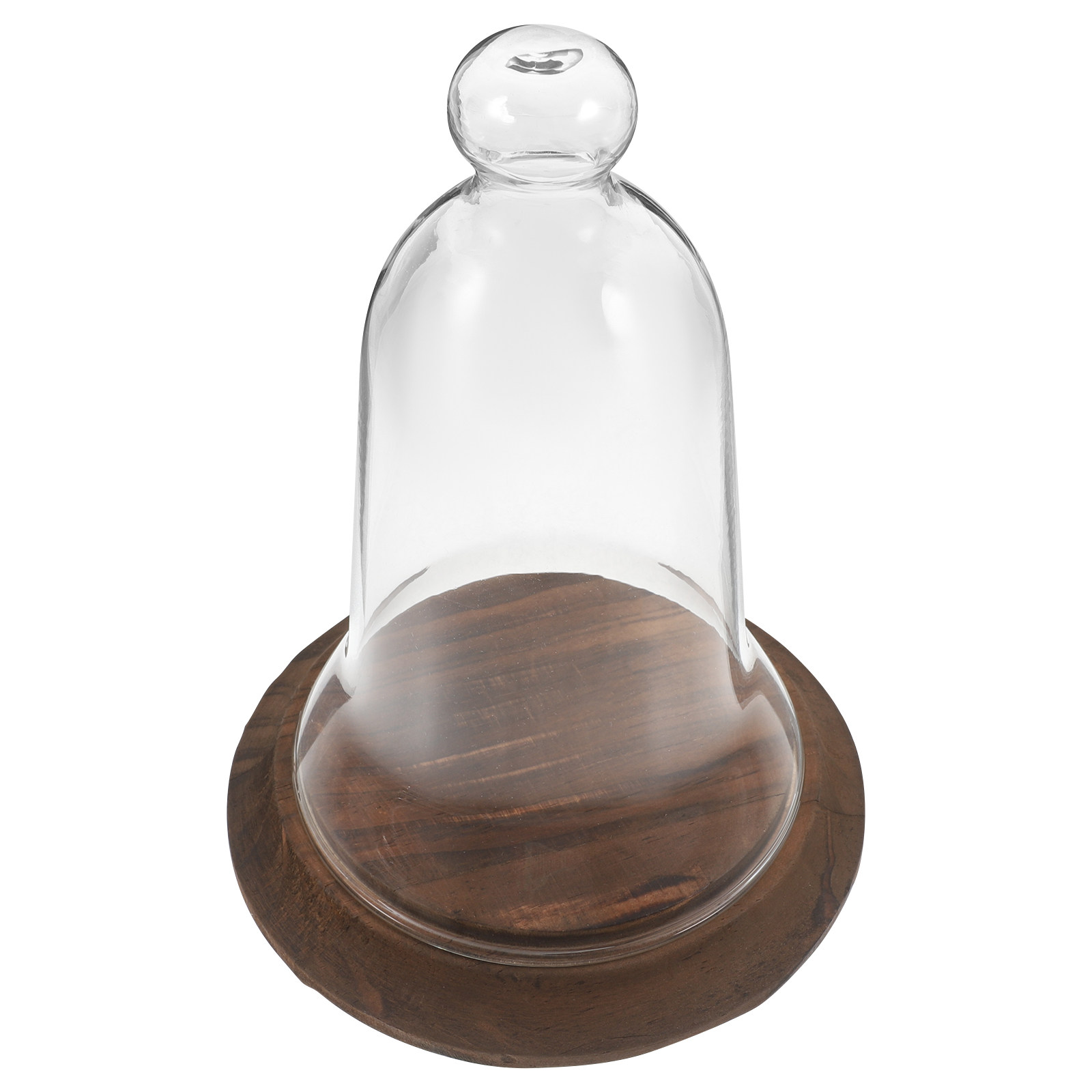 Campana de Cristal Transparent - Plastic Dome Clear reseña y precio