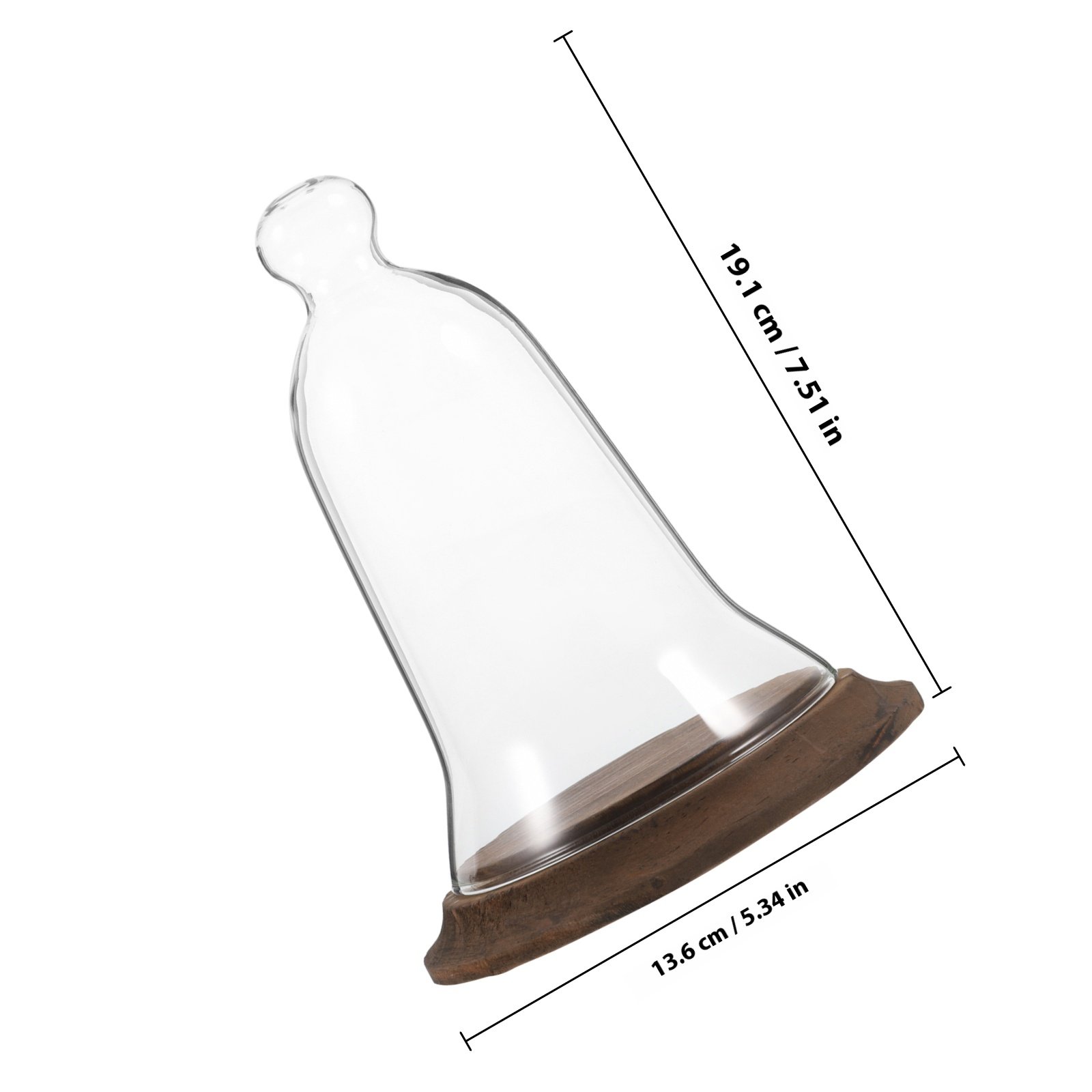 Campana de Cristal Transparent - Plastic Dome Clear reseña y precio