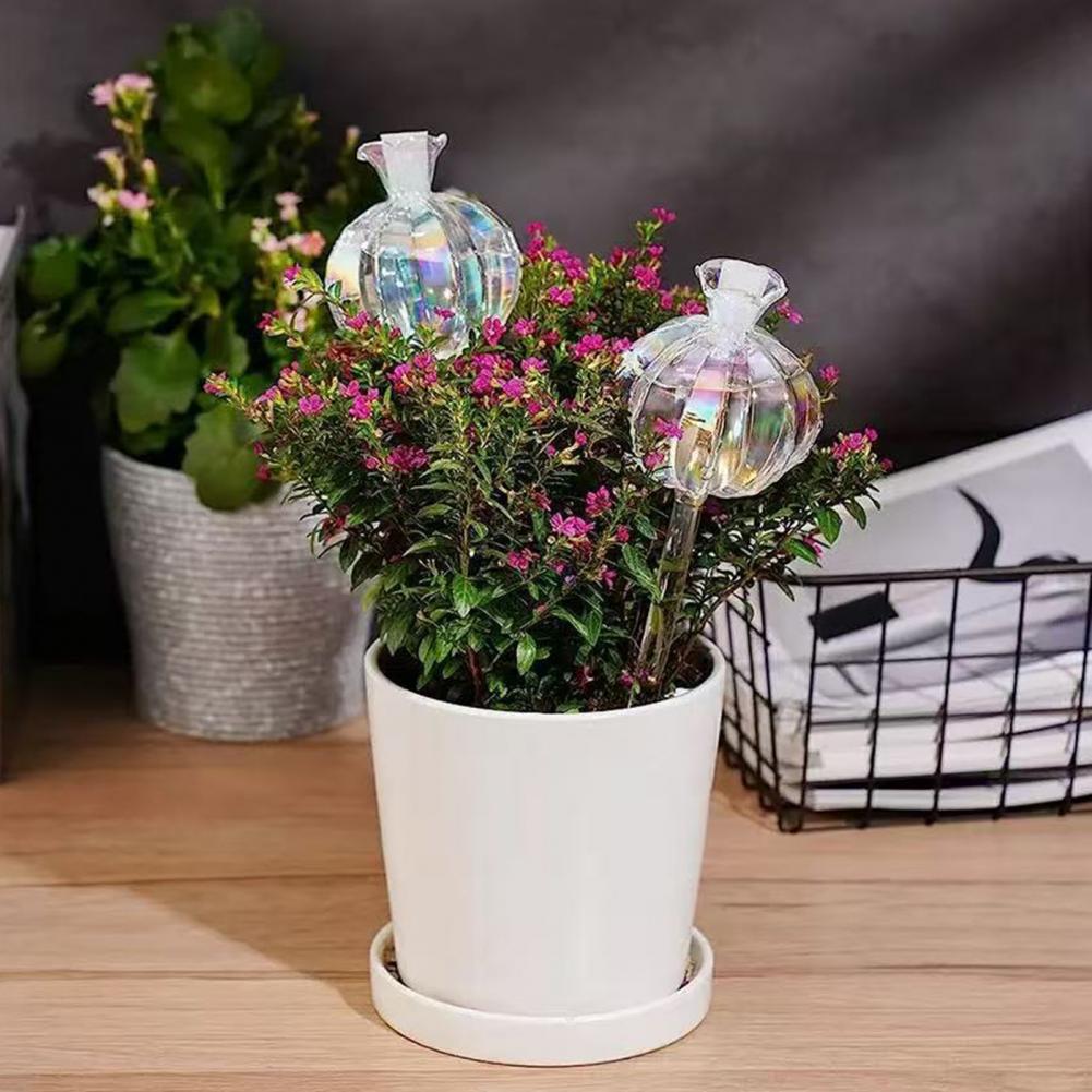 Bombillas de autorriego de Cac - Self Watering Insert reseña y precio