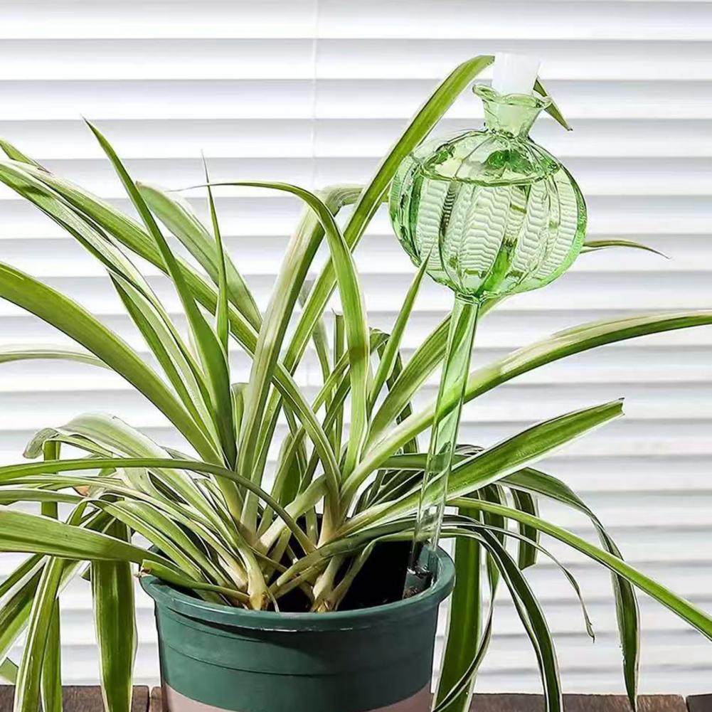 Bombillas de autorriego de Cac - Self Watering Insert reseña y precio