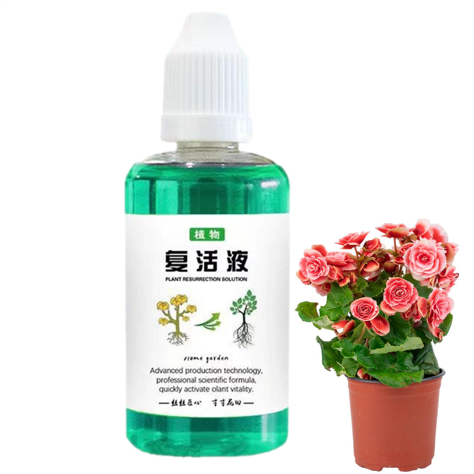 Estimulador de raíces para pla - Root Stimulator Liquid reseña y precio