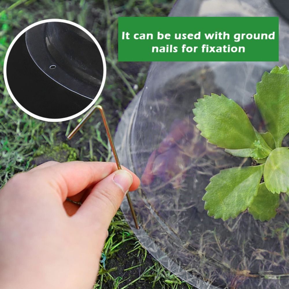 Cubierta Protectora de Plástic - Plastic Dome Clear reseña y precio