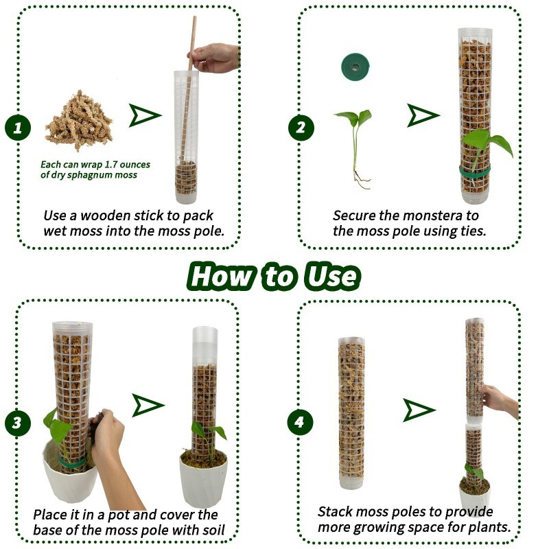 1/2/3 Piezas Columna de Musgo  - Sphagnum Moss Dry reseña y precio