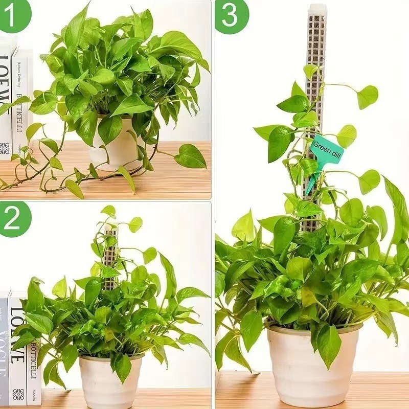1/2/3 Piezas Columna de Musgo  - Sphagnum Moss Dry reseña y precio