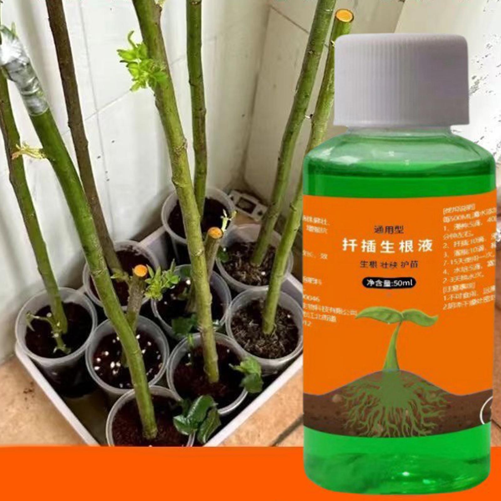 Estimulador de Raíces de Alta  - Root Stimulator Liquid reseña y precio