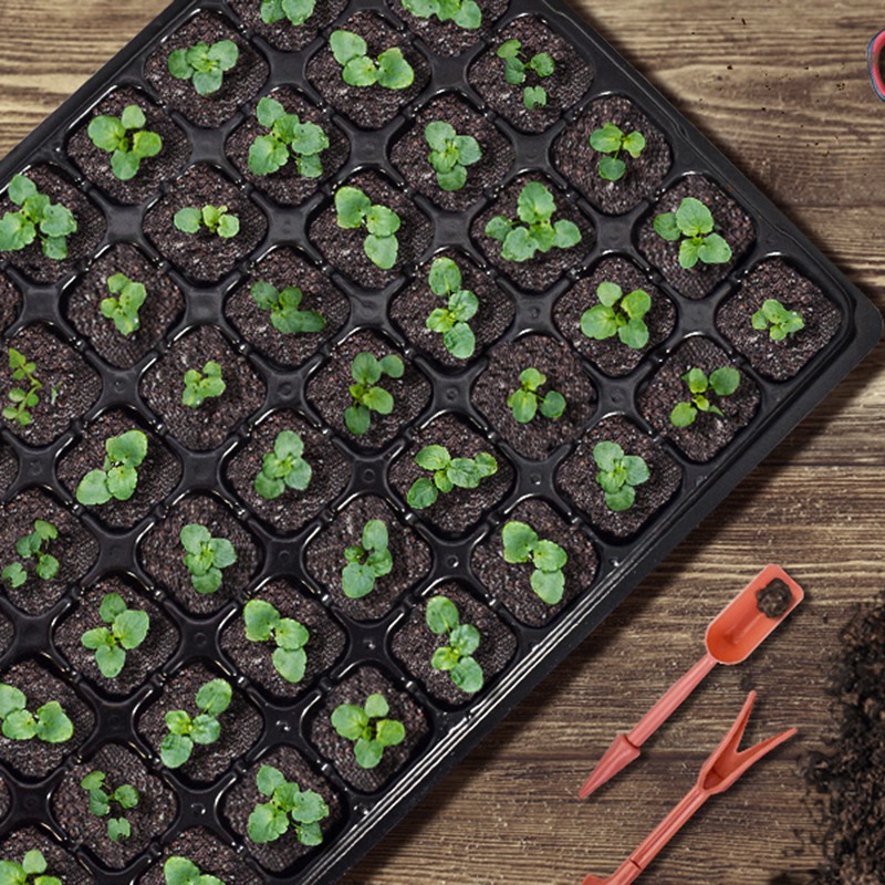 Paquete de ABGH-10 bandeja de  - Propagation Tray 72 reseña y precio