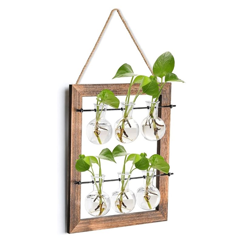 Maceta de pared ABLN para plan - Propagation Station Vase reseña y precio