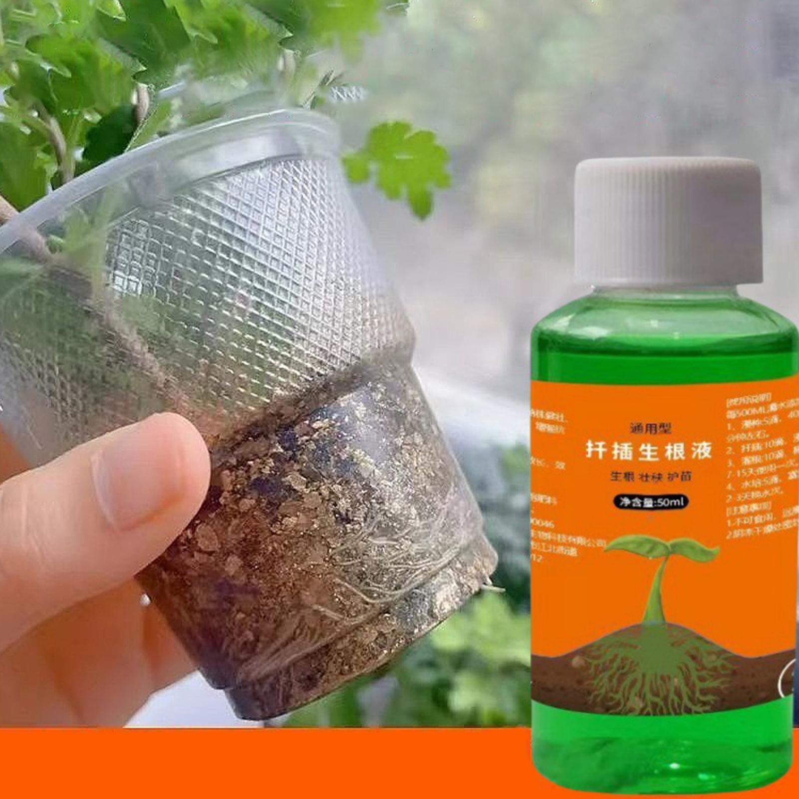 Solución nutritiva para traspl - Root Stimulator Liquid reseña y precio